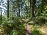 Point Reyes 001